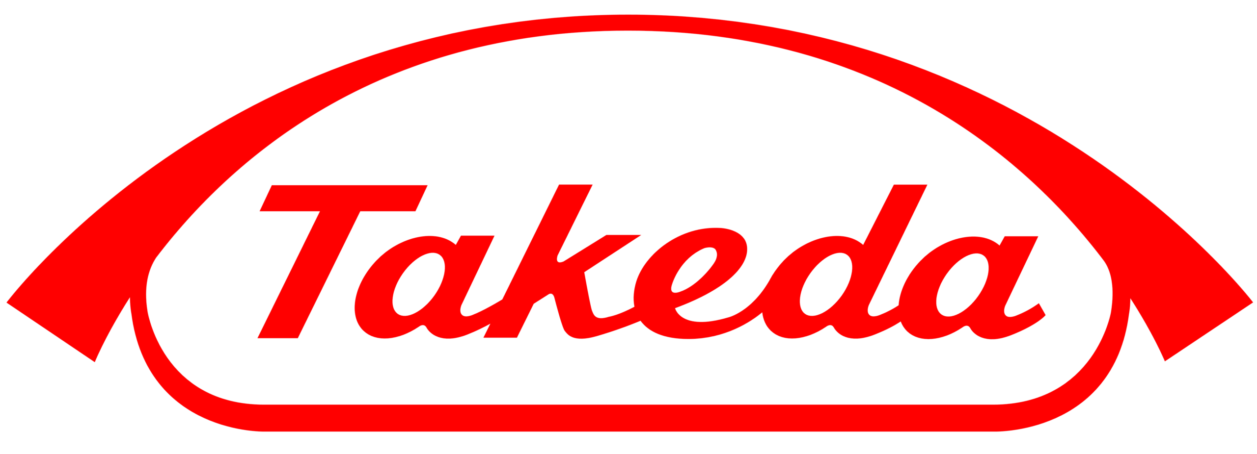 Takeda logo: red cursive wordmark on a white rounded background with a red border across the top and bottom edges.