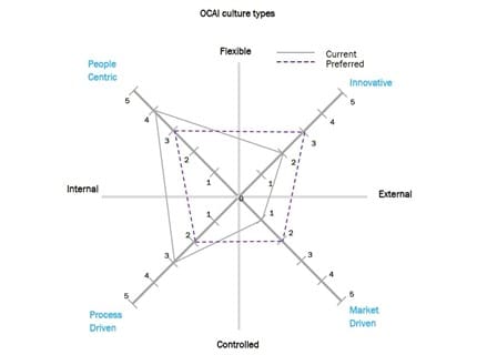 business cultural framework infographic