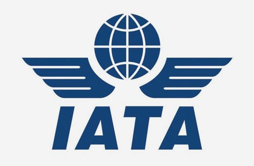 IATA logo featuring a globe with wings and the letters IATA beneath it.